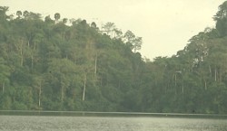 Lake Barombi Mbo ist von tropischen Urwäldern umgeben